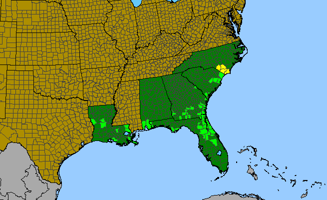 The range of Helianthus floridanus